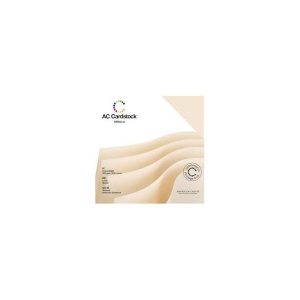 VANILLA   -CARDSTOCK PACK 12X12