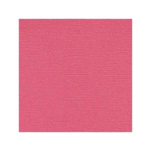 BLING CARDSTOCK 12X12 - FEATHER BOA