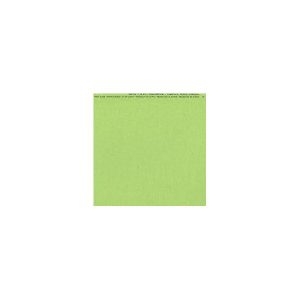 BLING CARDSTOCK 12X12 - PETTY CASH