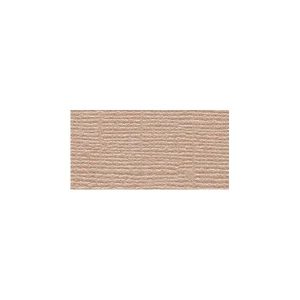 BLING CARDSTOCK 12X12 BLANK CHECK