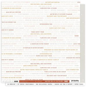 FAMILY PAPIER 2 NOTRE BELLE HISTOIRE