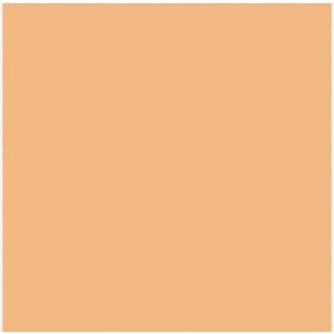 PAPIER UNI CARDSTOCK TEXTURE APRICOT