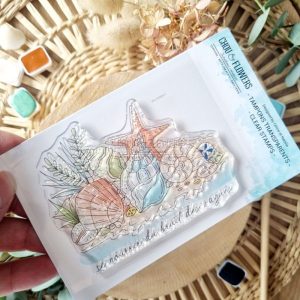 CLEAR A7 LES COQUILLAGES