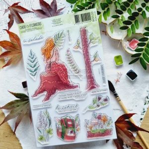 L'OREE DES BOIS CLEAR A5 BALADE EN FORET