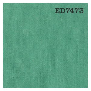 PAPIER UNI VERT PRASIN