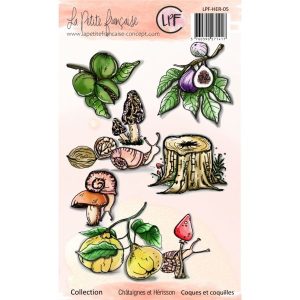 Tampon clear : Collection Châtaignes et hérisson - Coques et coquillages