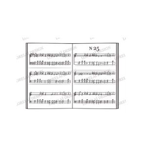 HOLLY Tampon Clear A7 n°88