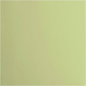 CARDSTOCK FLORENCE ANISE