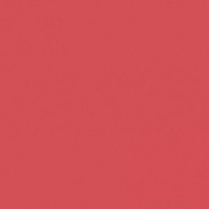 CARDSTOCK BAZZILL LISSE HIBISCUS