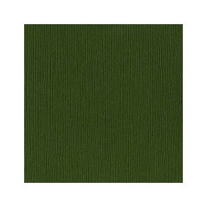 CARDSTOCK BAZZILL RAIN FOREST