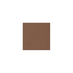 CARDSTOCK BAZZILL CINNAMON STICK