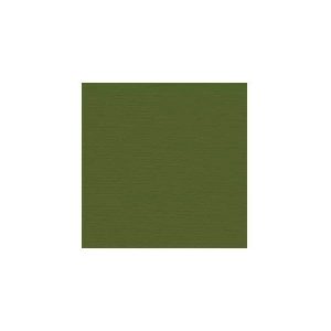 CARDSTOCK BAZZILL NIXON