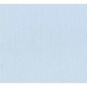 CARDSTOCK BAZZILL POUDRE BLEUE
