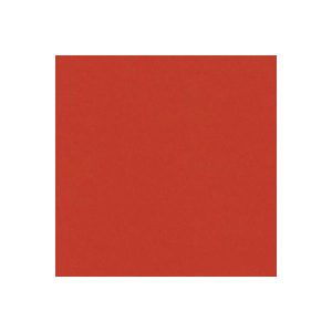 CARDSTOCK BAZZILL ORANGE