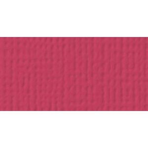 PAPIER CARDSTOCK UNI LADYBUG