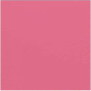 PAPIER CARDSTOCK UNI BEGONIA