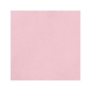 PAPIER CARDSTOCK UNI LISSE BLUSH