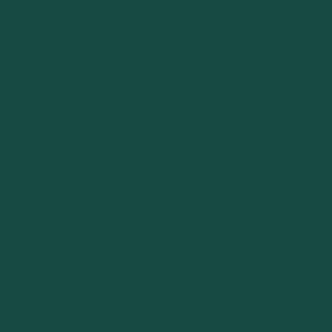 CARDSTOCK MY COLORS FOREST GREEN