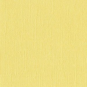 HOLLYWOOD -BLING CARDSTOCK 12X12"