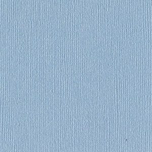 BLIND DATE-BLING CARDSTOCK 12X12"