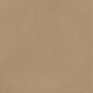 CARAMEL -CARDSTOCK SMOOTH 12"