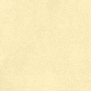 CARDSTOCK AC LISSE VANILLA