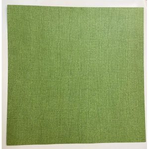 CARDSTOCK VINTAGE VERT