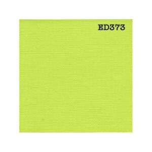Cardstock vert anis 12X12"