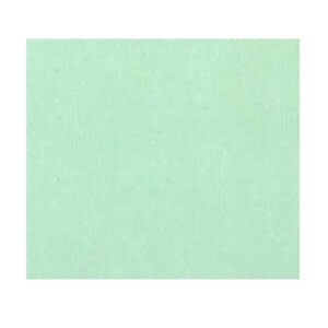 Cardstock vert d'eau 12X12